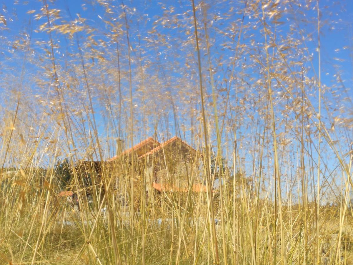 Quinta Da Adarnela Daire Lagares da Beira Dış mekan fotoğraf