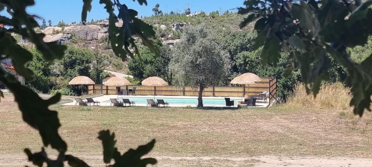 Quinta Da Adarnela Daire Lagares da Beira Dış mekan fotoğraf