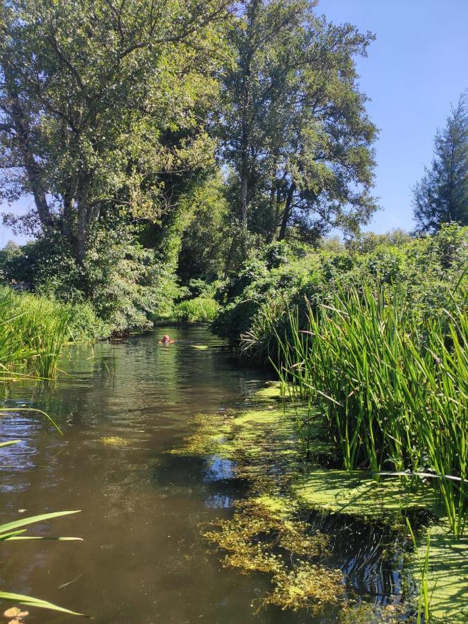 Quinta Da Adarnela Daire Lagares da Beira Dış mekan fotoğraf