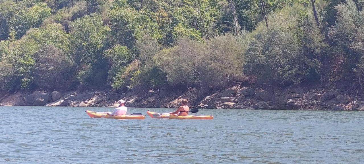 Quinta Da Adarnela Daire Lagares da Beira Dış mekan fotoğraf