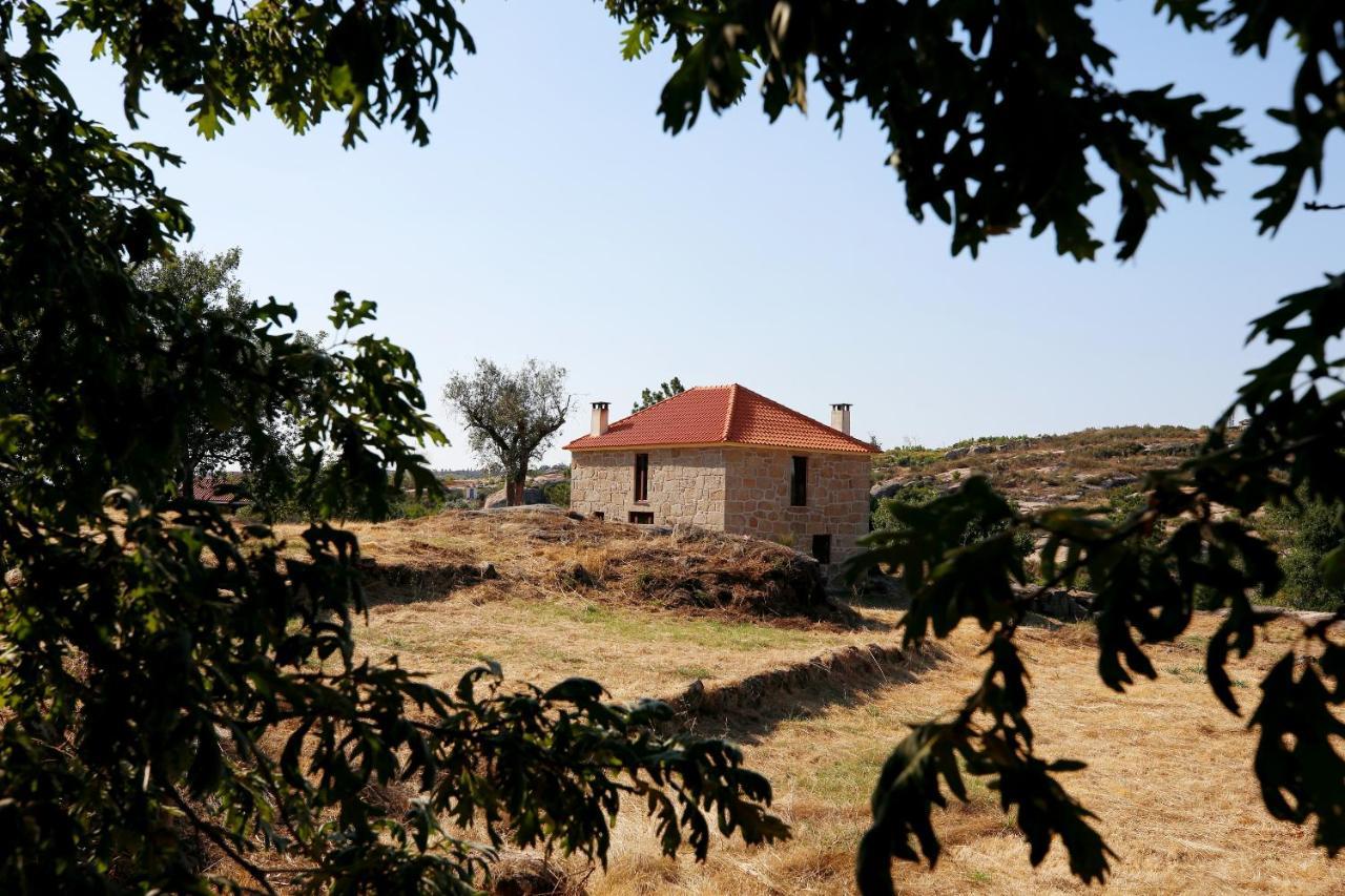 Quinta Da Adarnela Daire Lagares da Beira Dış mekan fotoğraf